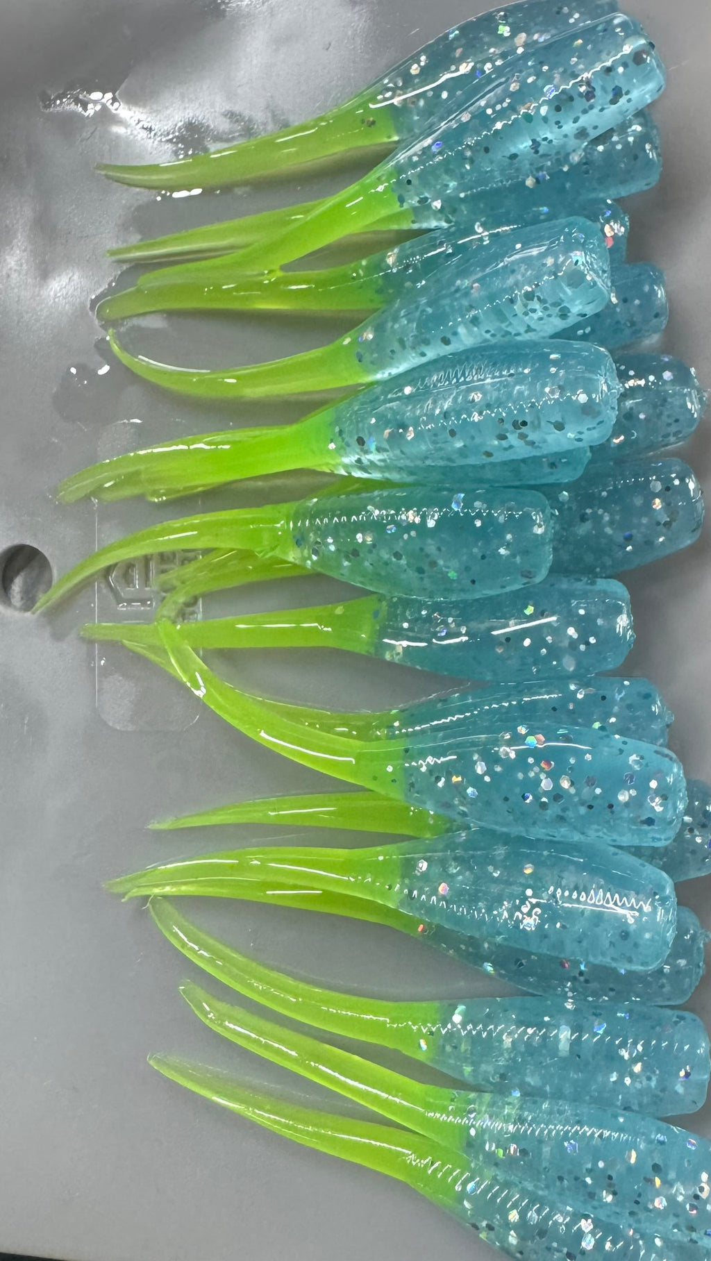 Blue & Chartreuse