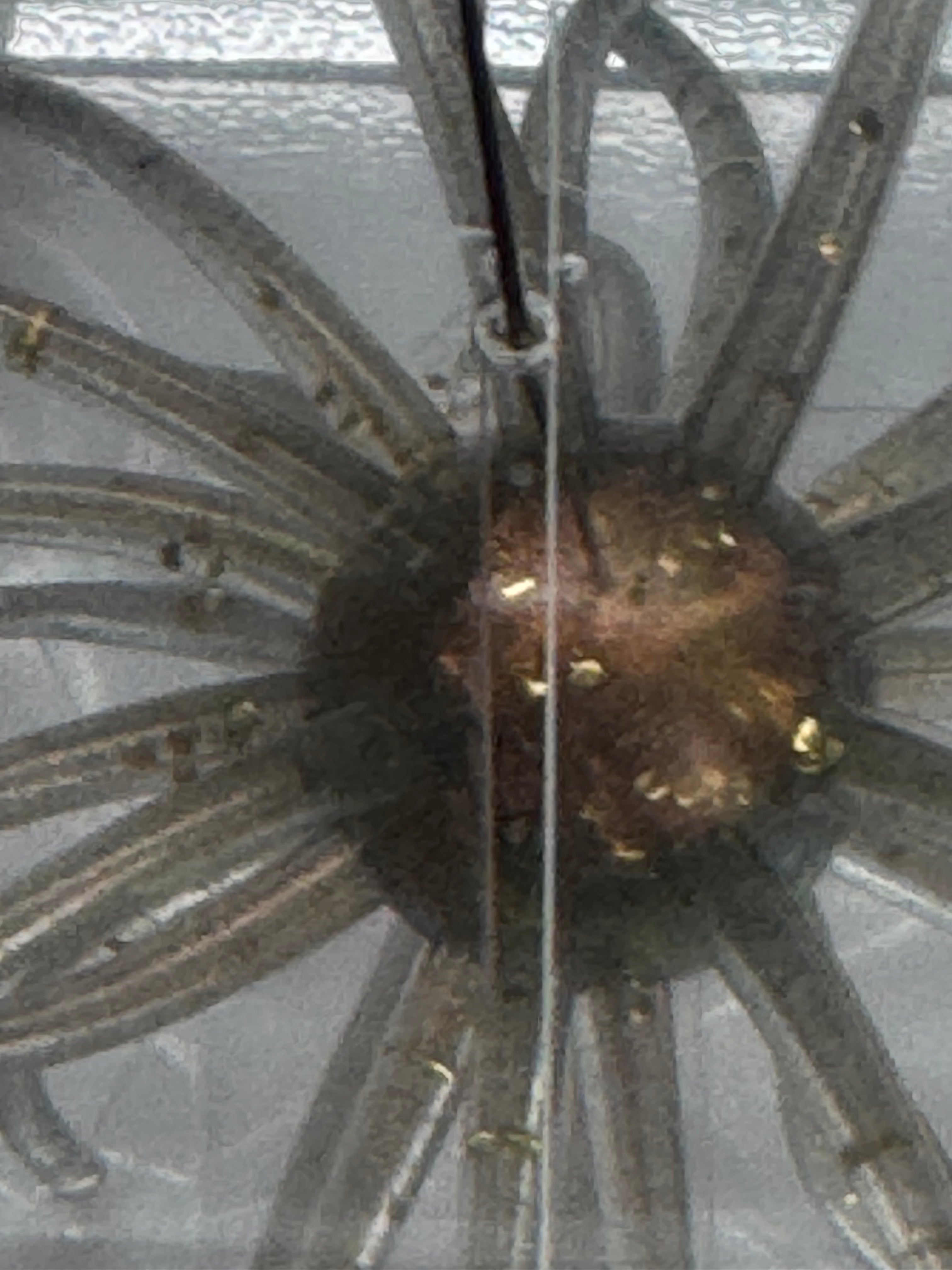 Urchin bait