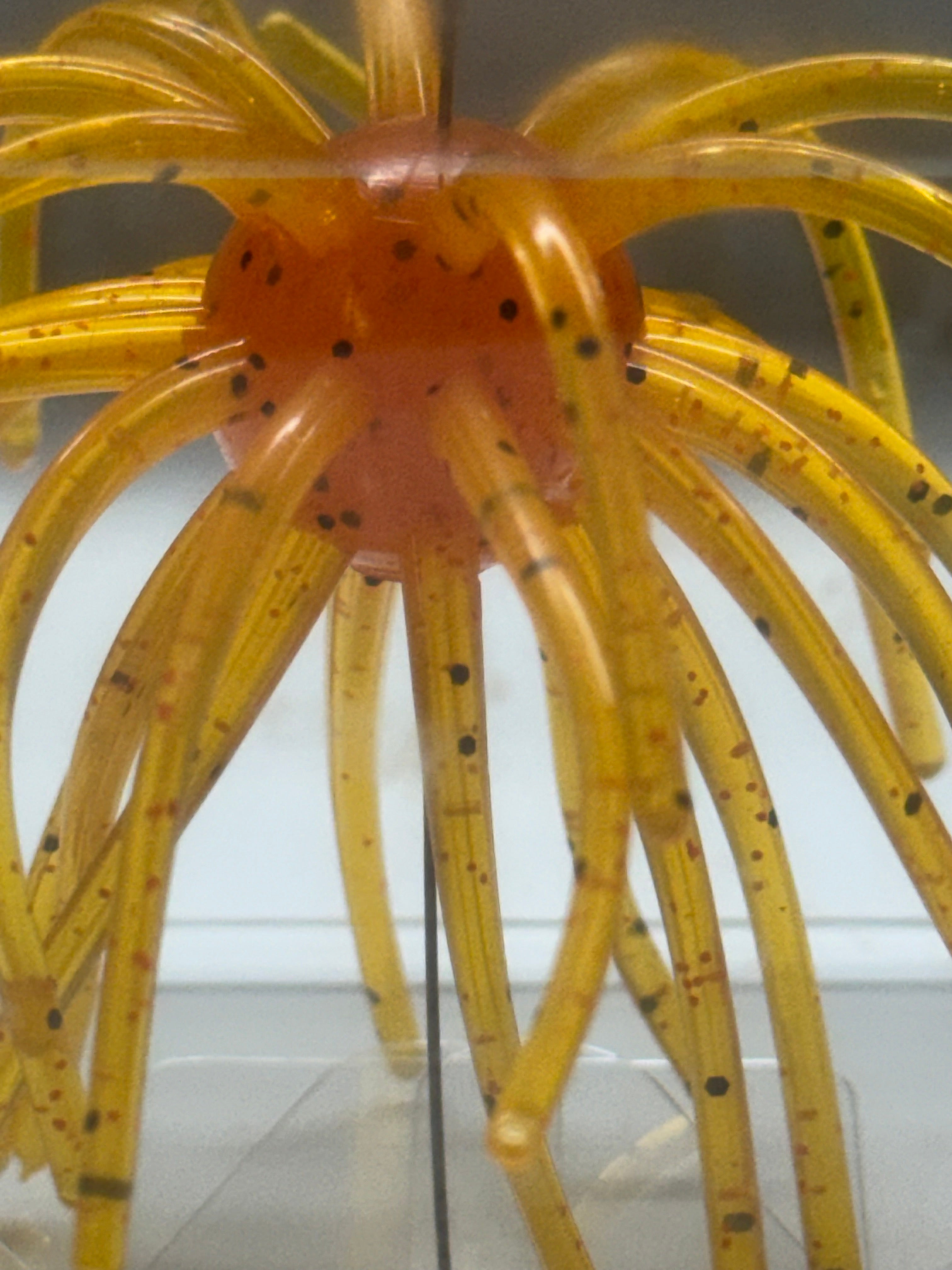 Urchin Bait Tequila Sunrise