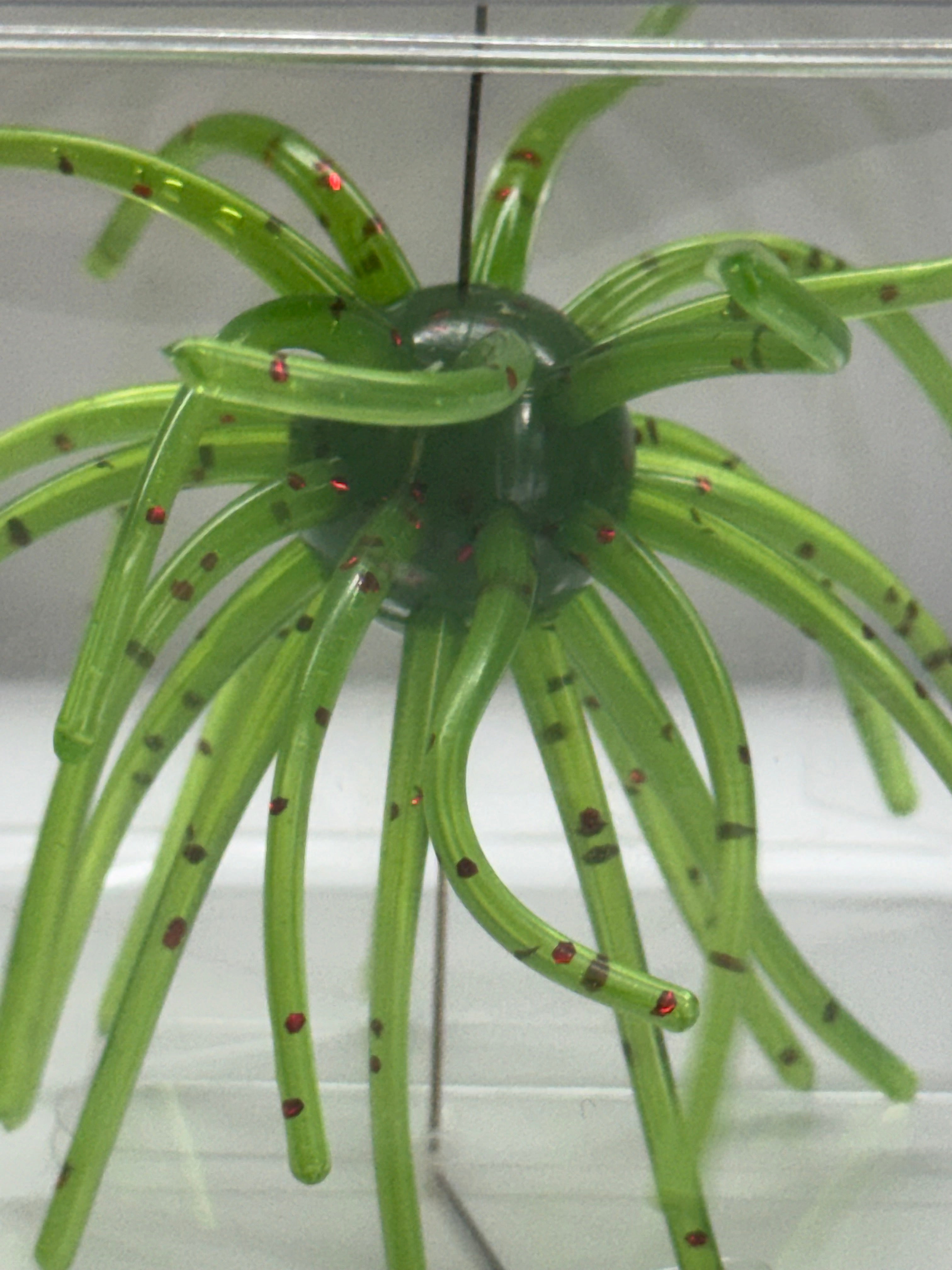Urchin bait