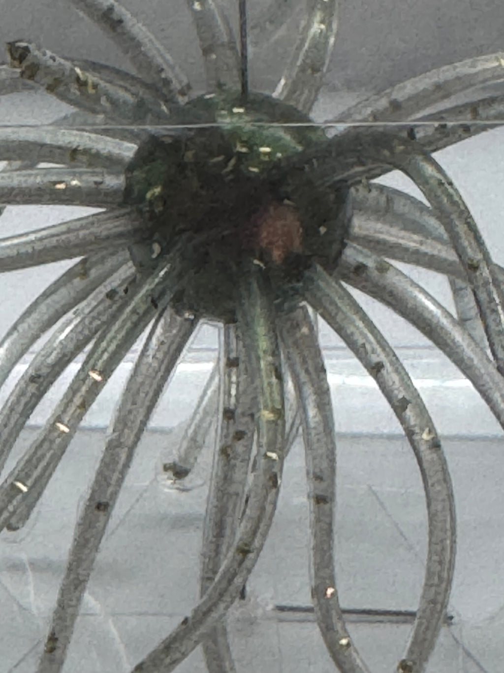 Urchin bait