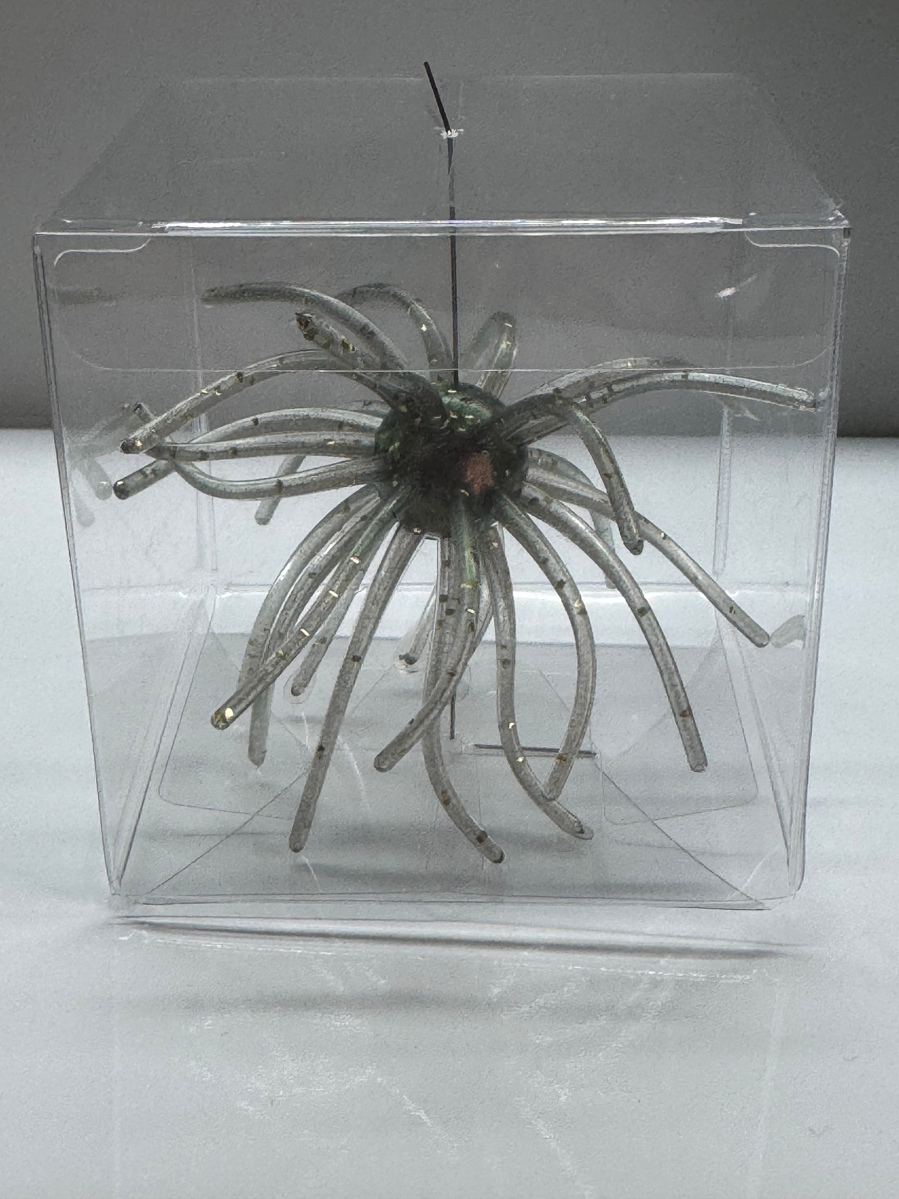Urchin bait